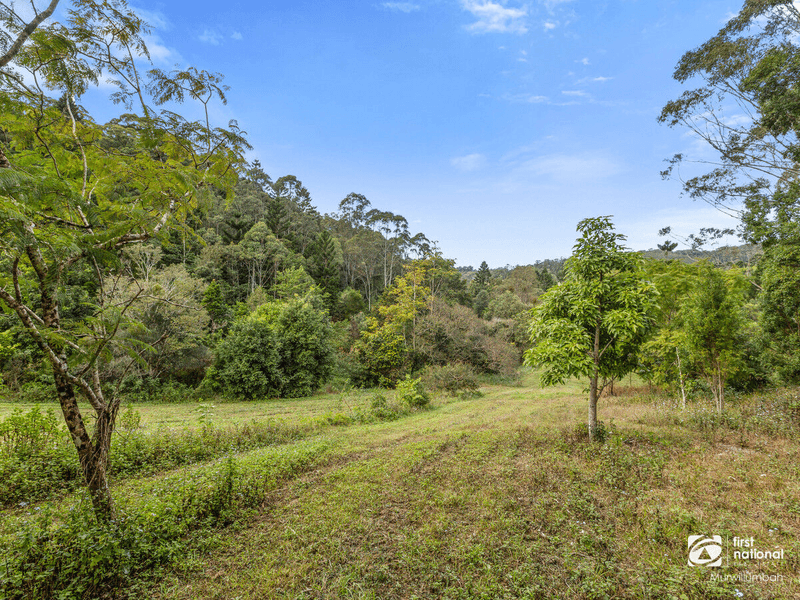 947 Reserve Creek Road, Reserve Creek, NSW 2484