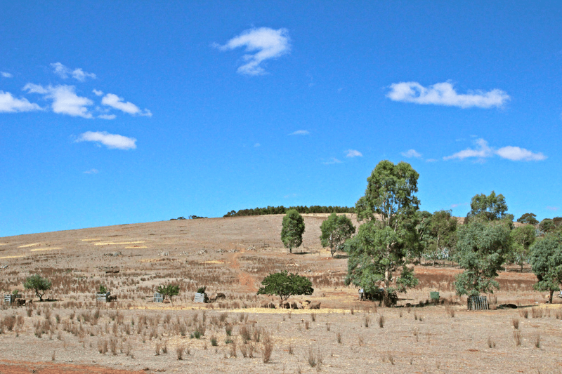 A208 Commercial Road, BURRA, SA 5417