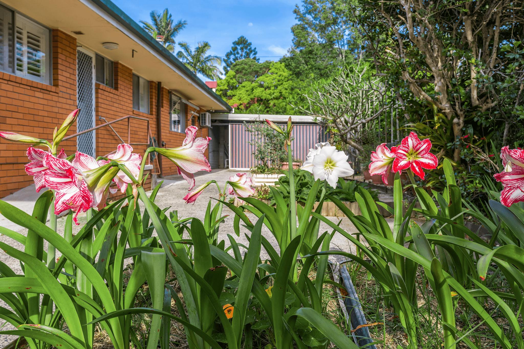 1 Myokum Street, MULLUMBIMBY, NSW 2482