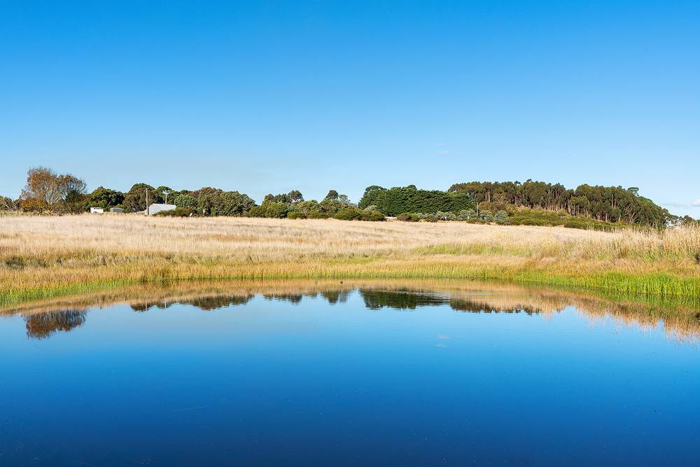 Willaura-Wickliffe Road, Wickliffe, VIC 3379