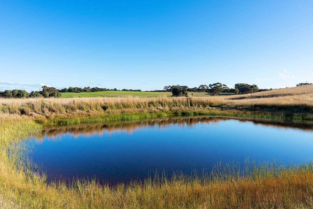 Willaura-Wickliffe Road, Wickliffe, VIC 3379