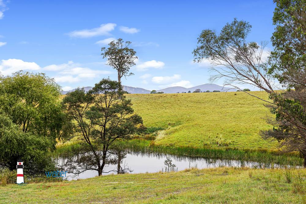 111 Terlichs Rd, Verona, NSW 2550