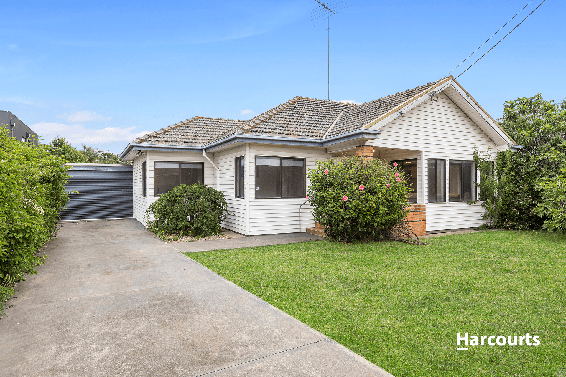 12 Pine Avenue, North Shore, VIC 3214