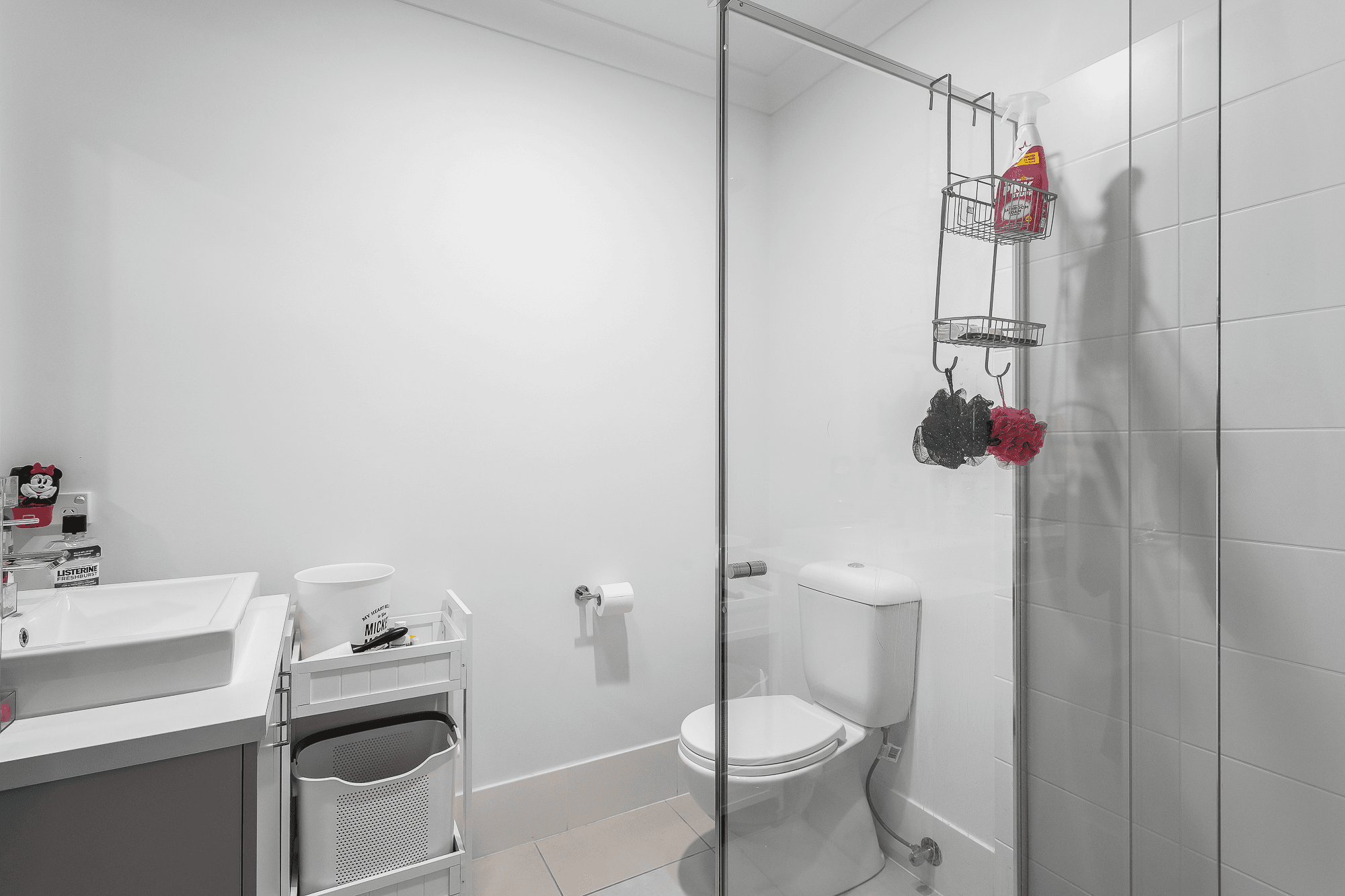 41 Amundsen Drive, Logan Reserve, QLD 4133