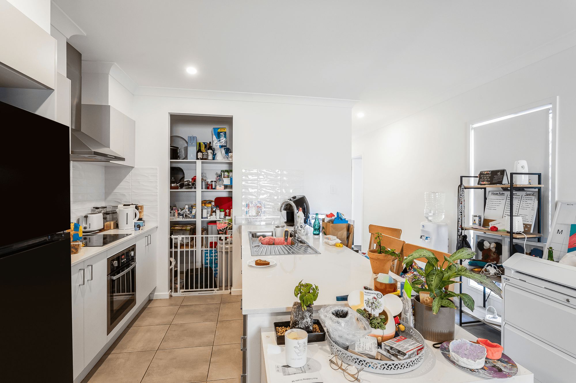 41 Amundsen Drive, Logan Reserve, QLD 4133