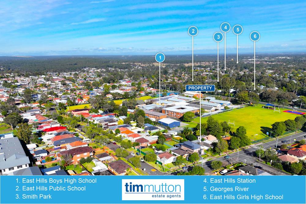 253 Tower St, Panania, NSW 2213