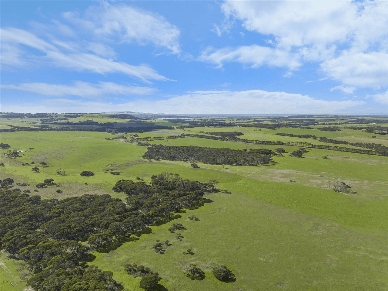 785 Springs Road, MENZIES, SA 5223