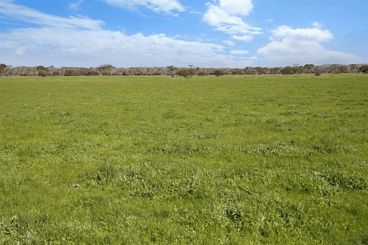 785 Springs Road, MENZIES, SA 5223