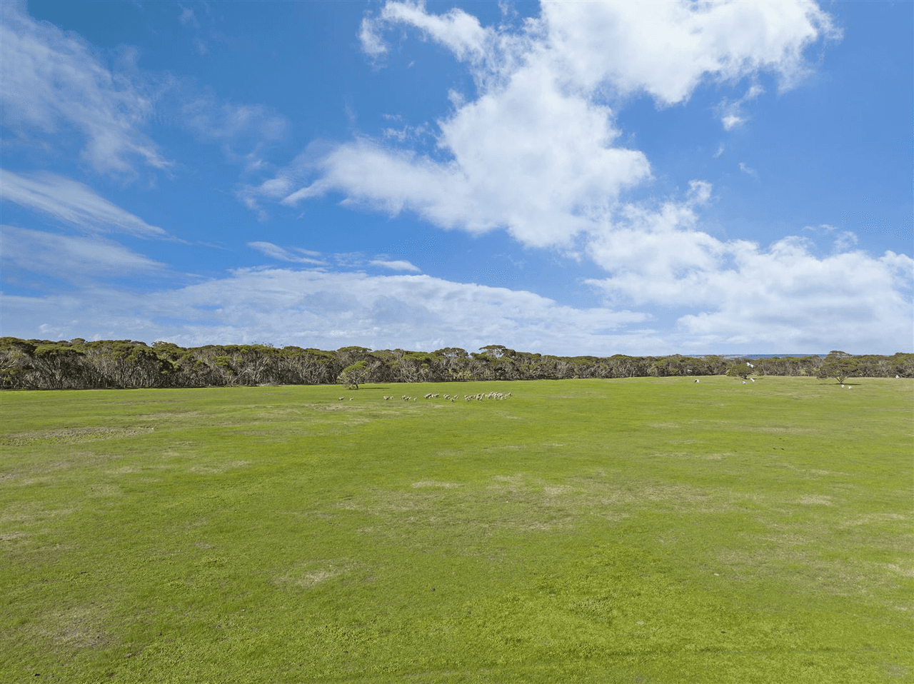 785 Springs Road, MENZIES, SA 5223