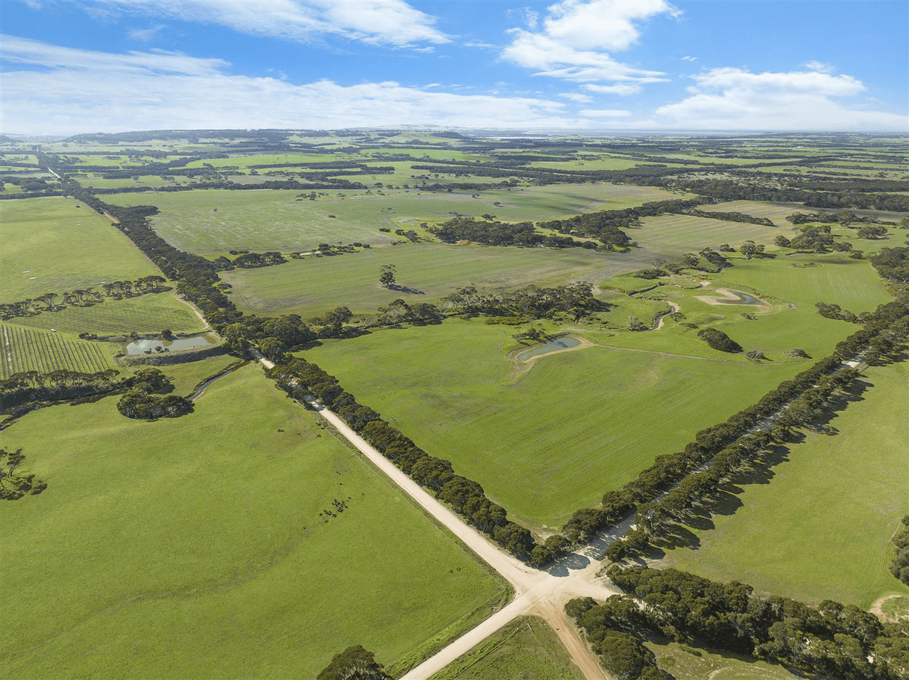 785 Springs Road, MENZIES, SA 5223