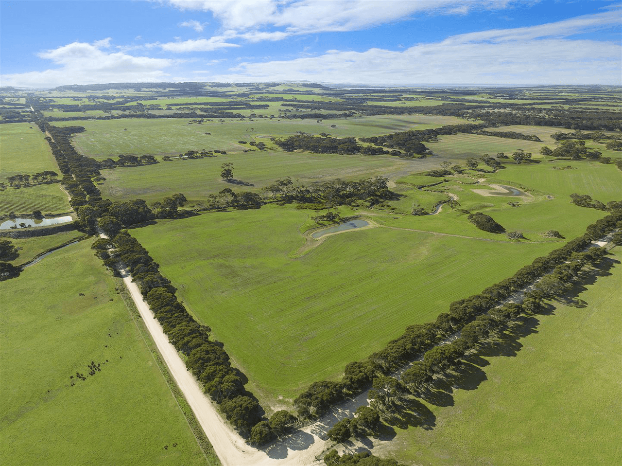 785 Springs Road, MENZIES, SA 5223