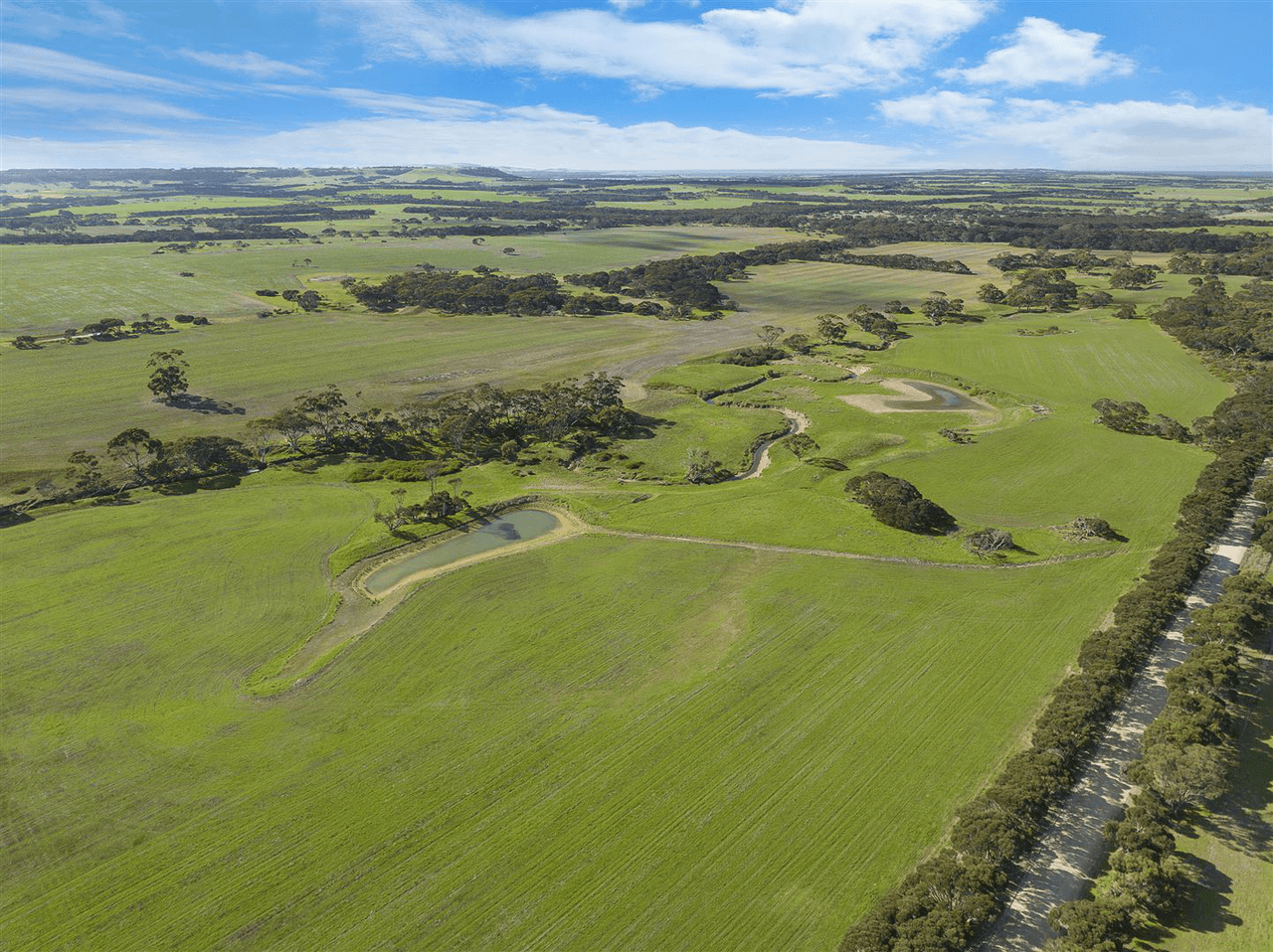 785 Springs Road, MENZIES, SA 5223