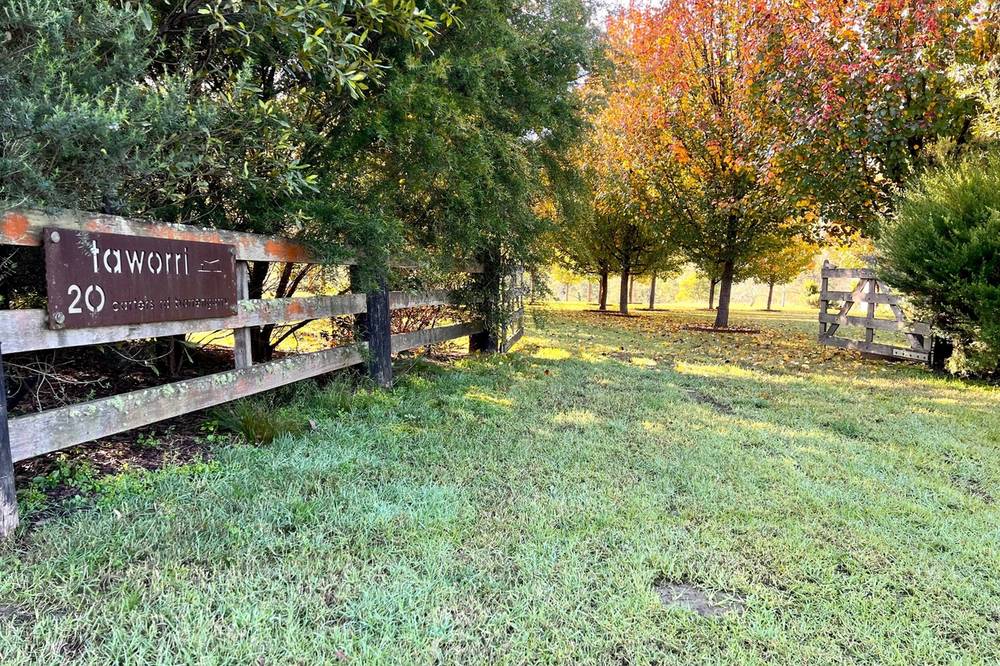 20  Carters Road, Kangaroo Valley, NSW 2577