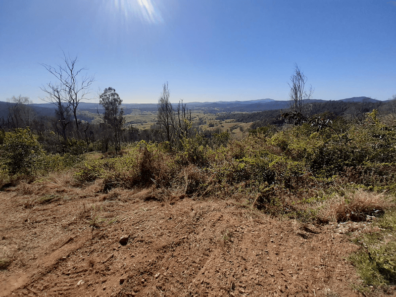 323 Whip Mountain Road, YARRANBELLA, NSW 2447