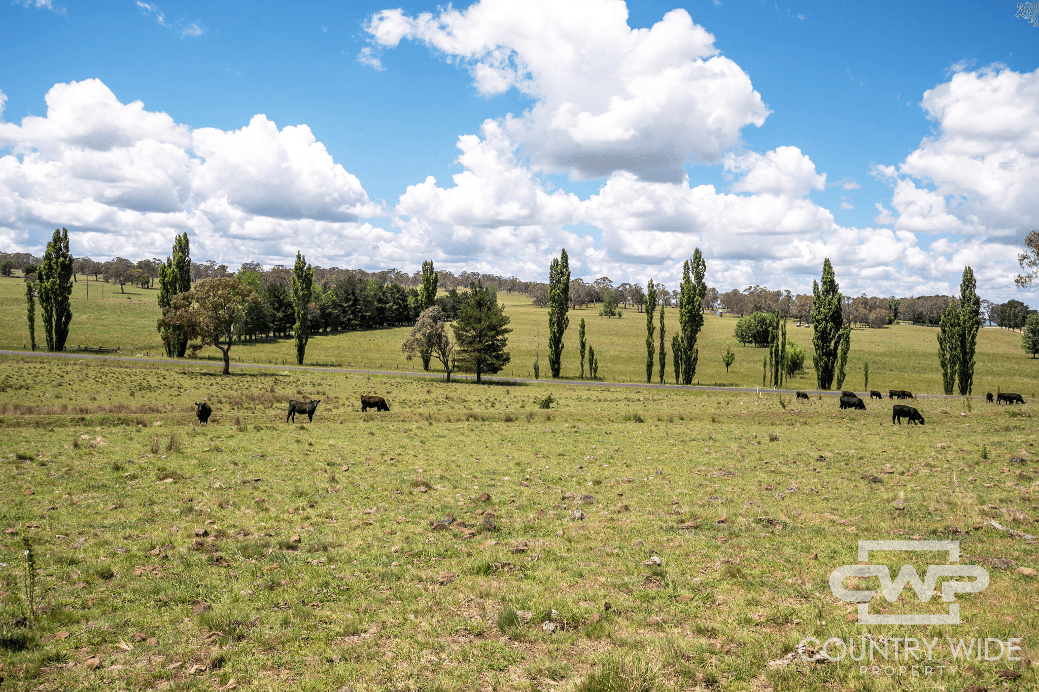 387 Shannon Vale Road, SHANNON VALE, NSW 2370