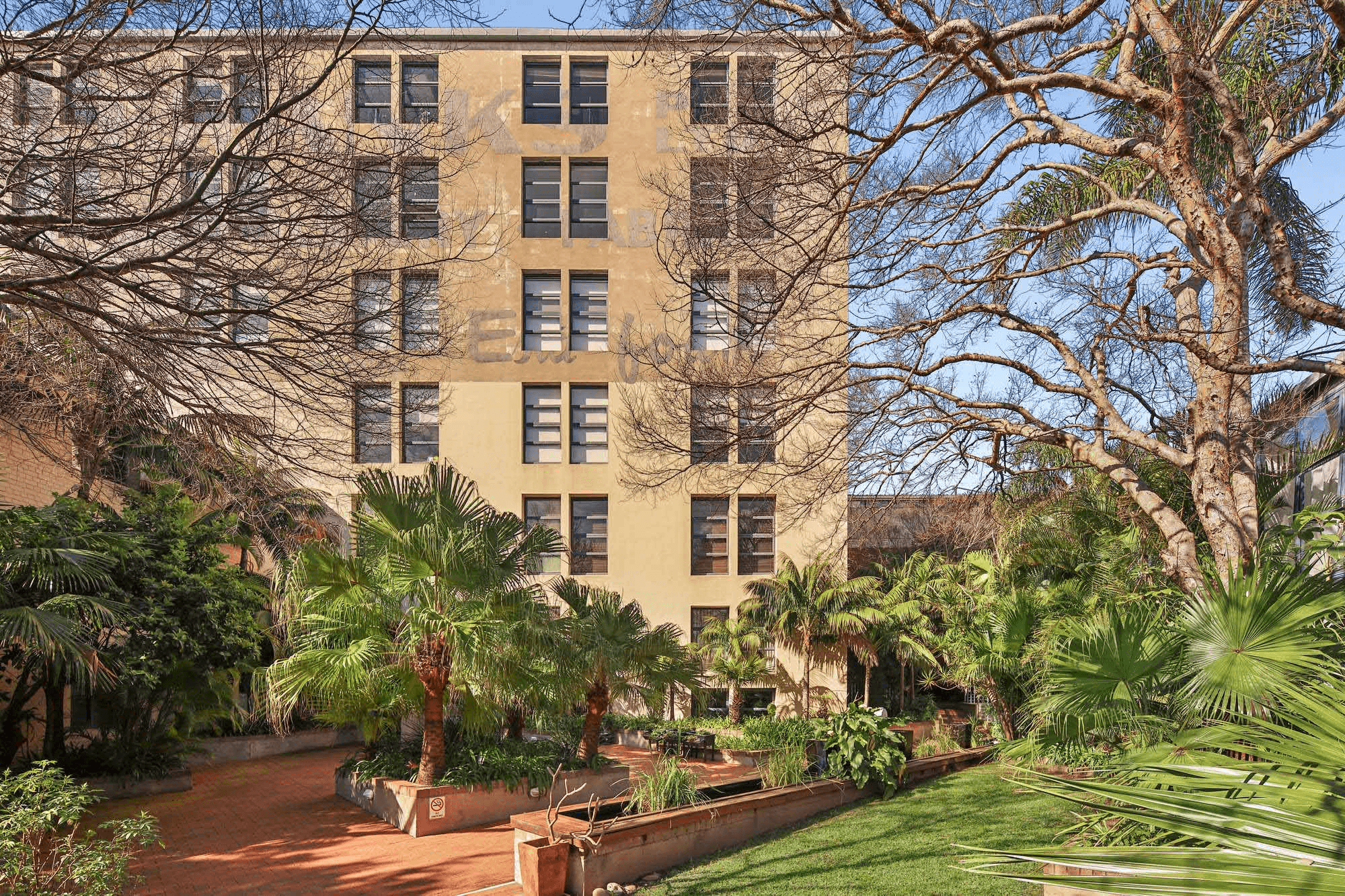 16/2 Cardigan Lane, CAMPERDOWN, NSW 2050