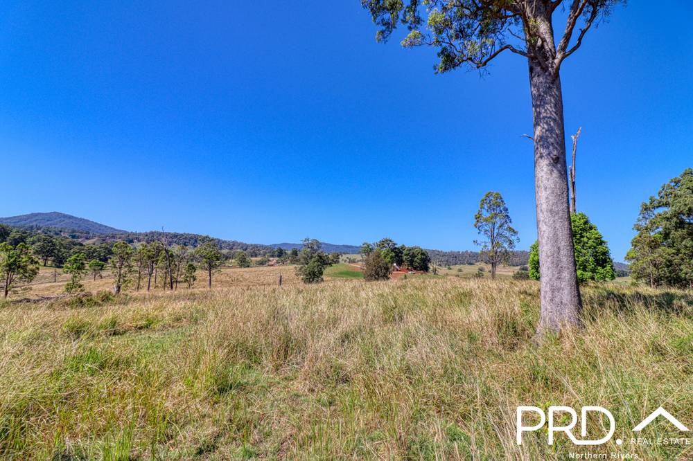 180 Runnymede Road, KYOGLE, NSW 2474