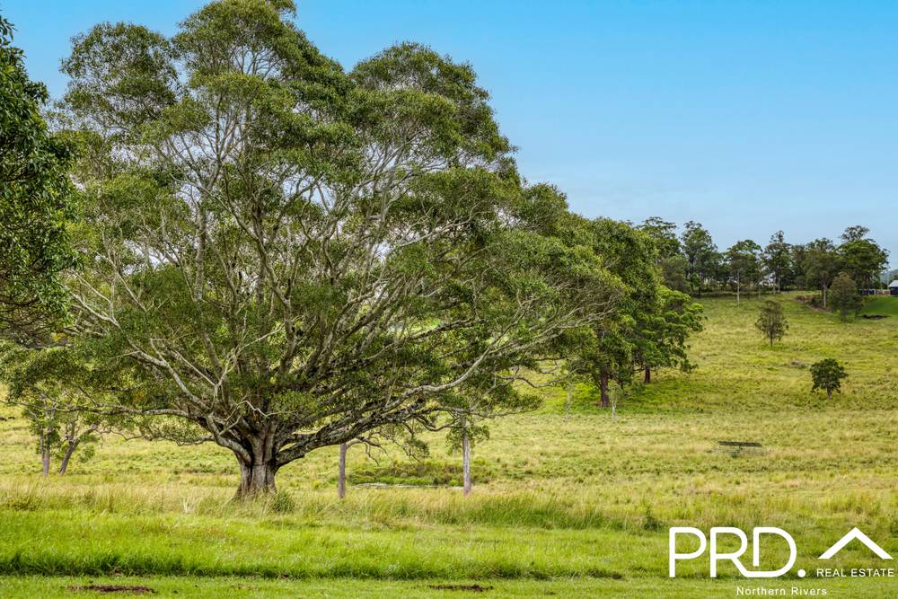 180 Runnymede Road, KYOGLE, NSW 2474