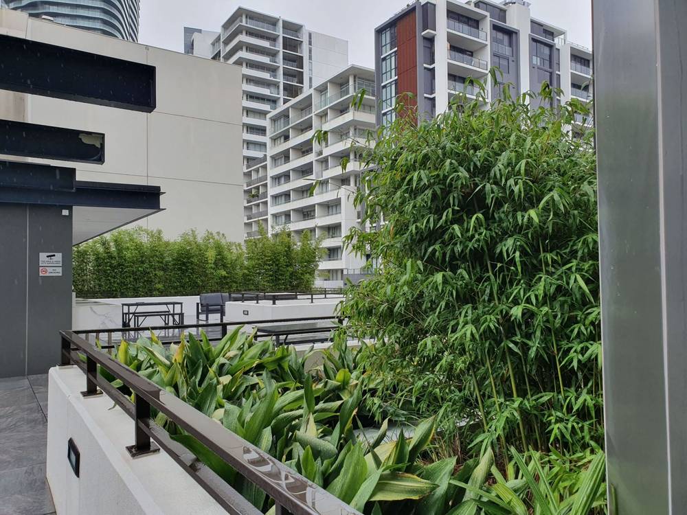 313/9 Albany Street, ST LEONARDS, NSW 2065