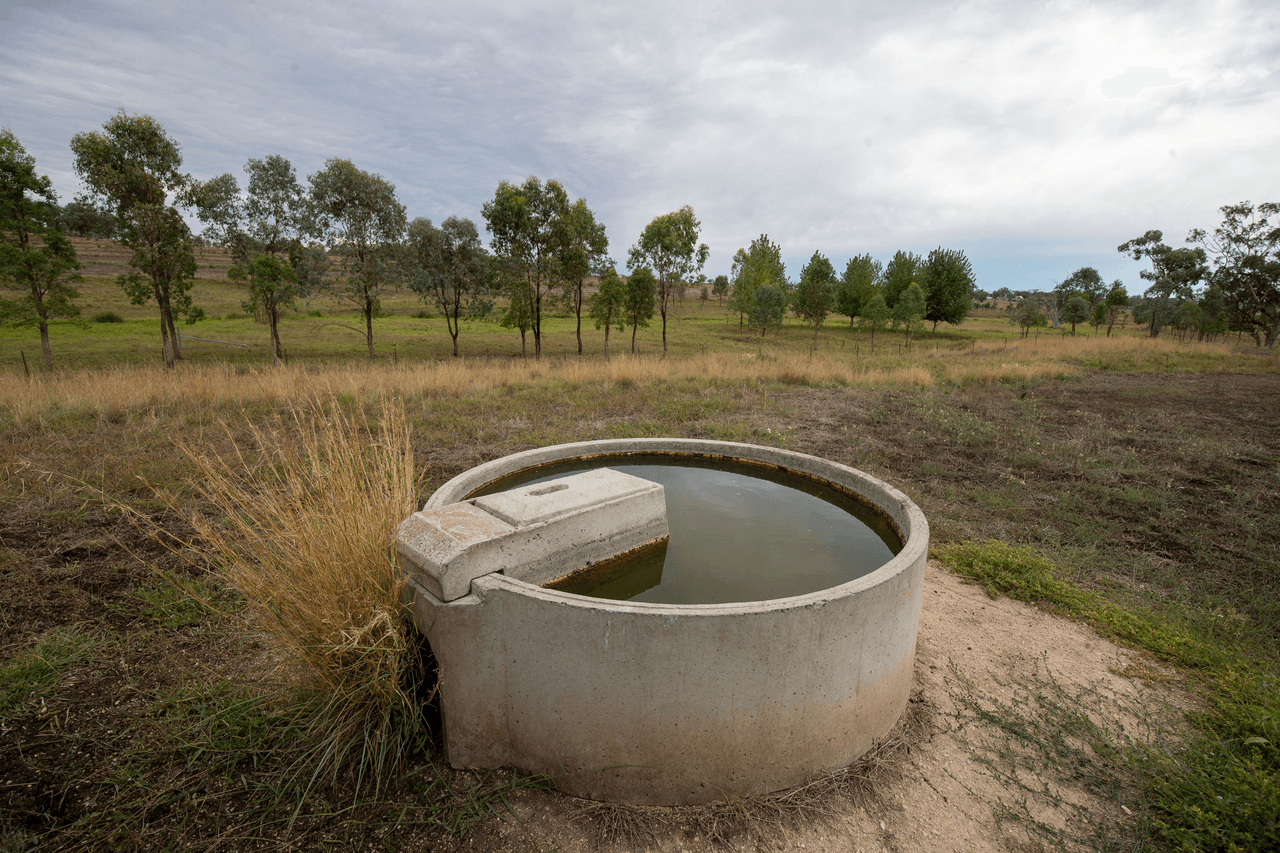 Lot 10 Dog Trap Lane, INVERELL, NSW 2360