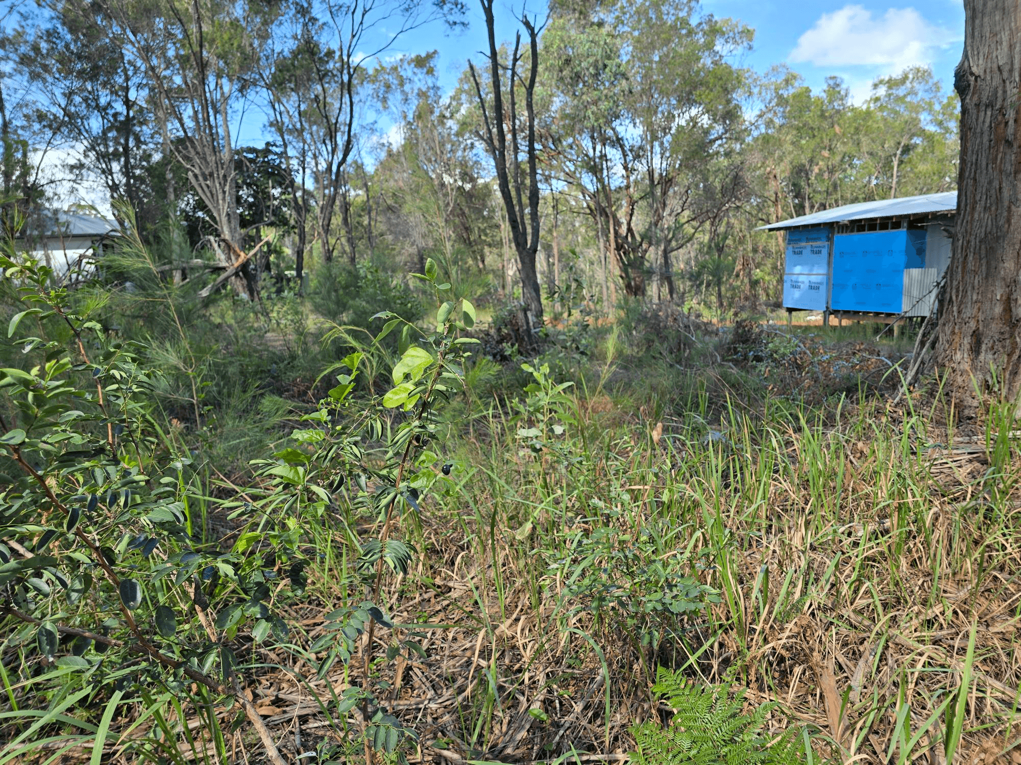 21 Canaipa Ridge Road, RUSSELL ISLAND, QLD 4184