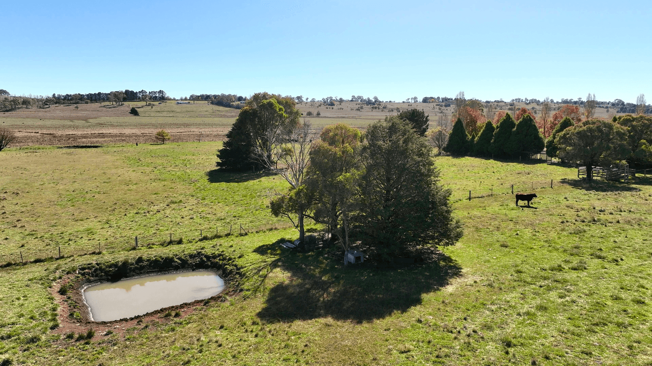 87 East Pandora Road, GLEN INNES, NSW 2370