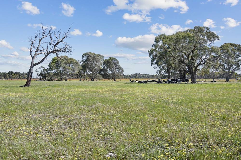 176 Powers Creek Road, EDENHOPE, VIC 3318
