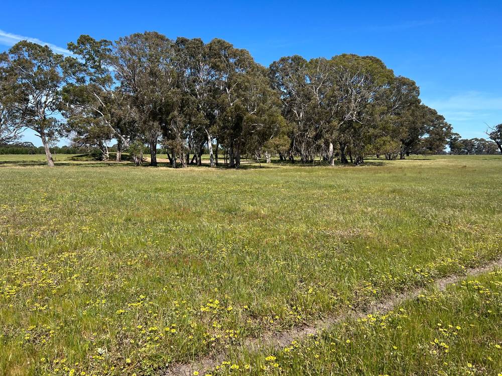 176 Powers Creek Road, EDENHOPE, VIC 3318