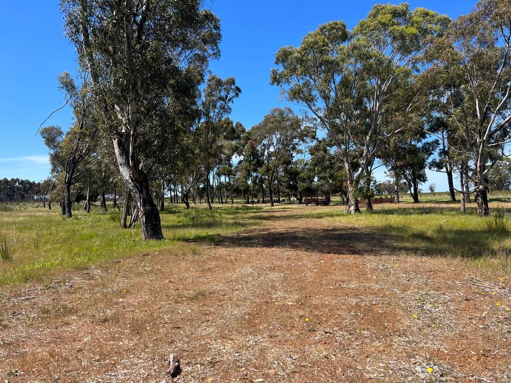 176 Powers Creek Road, EDENHOPE, VIC 3318