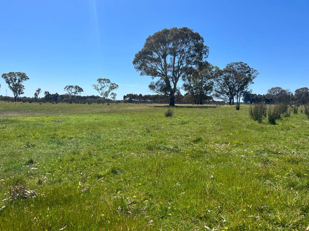 176 Powers Creek Road, EDENHOPE, VIC 3318
