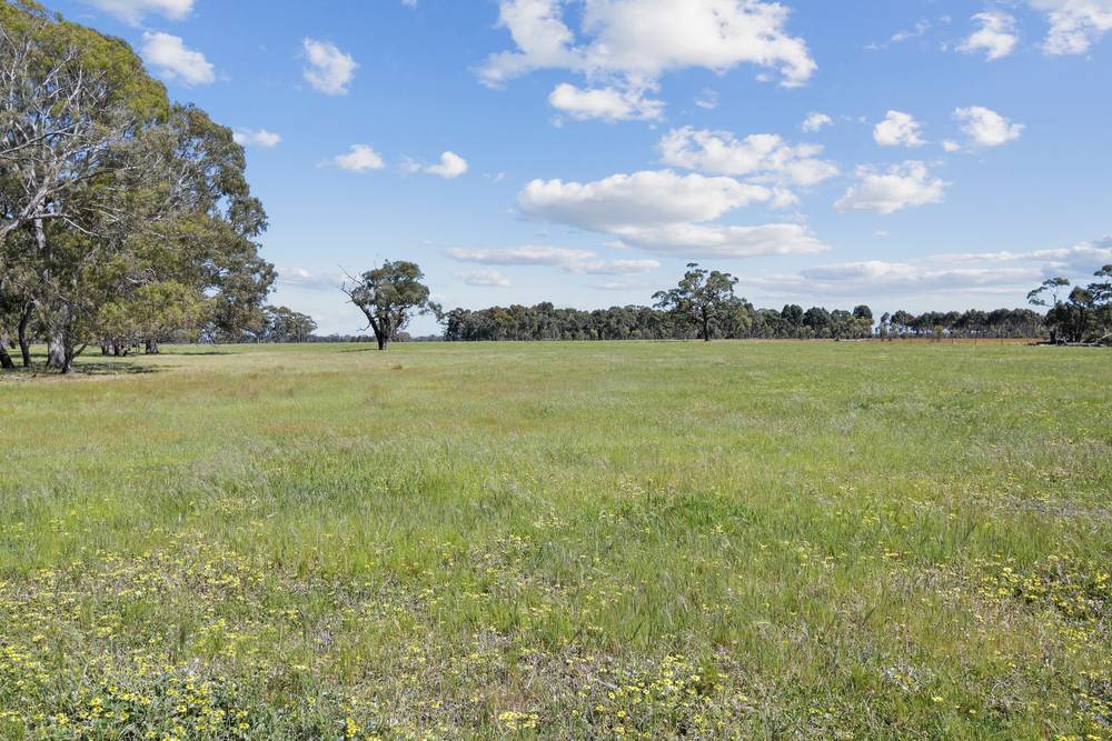 176 Powers Creek Road, EDENHOPE, VIC 3318