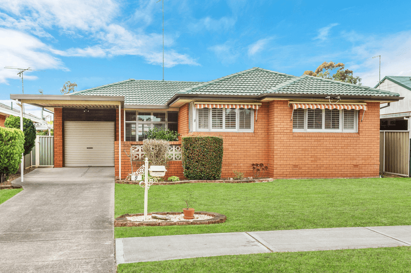 9 Lehmann Avenue, Liverpool, NSW 2170