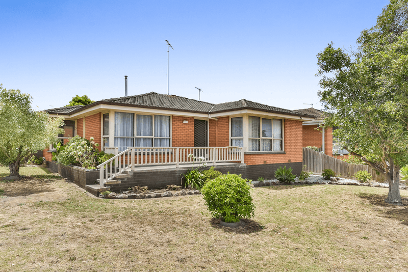 56 Kidman Avenue, Belmont, VIC 3216