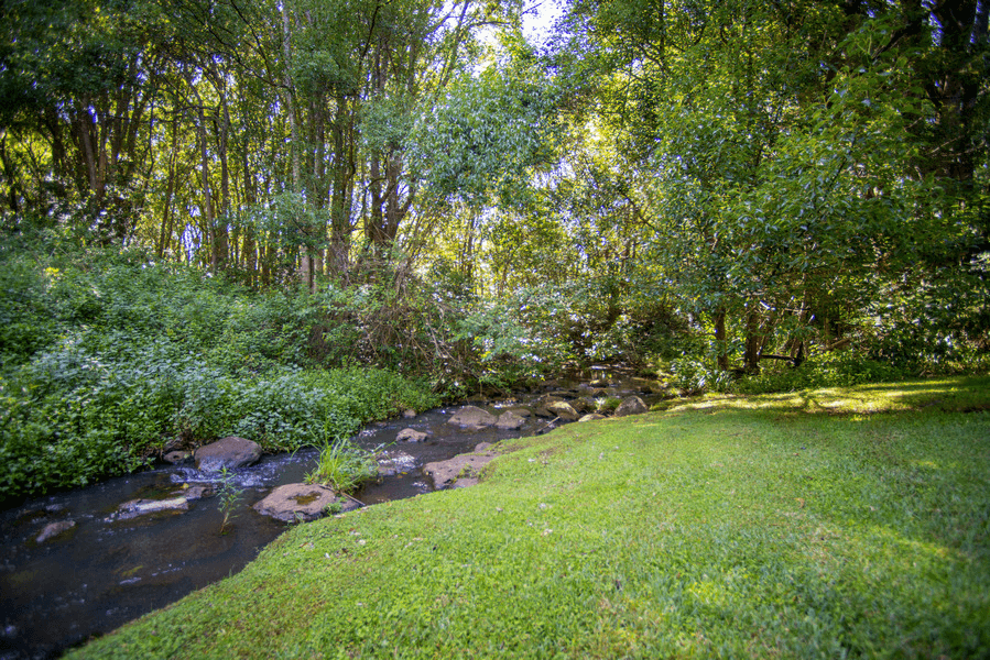 15 Vintage Drive, Chilcotts Grass, NSW 2480