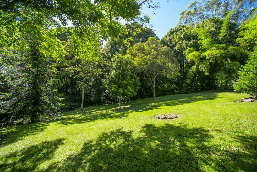 15 Vintage Drive, Chilcotts Grass, NSW 2480