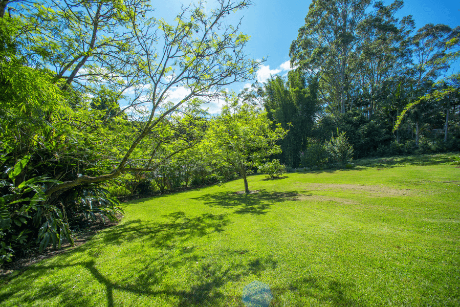 15 Vintage Drive, Chilcotts Grass, NSW 2480