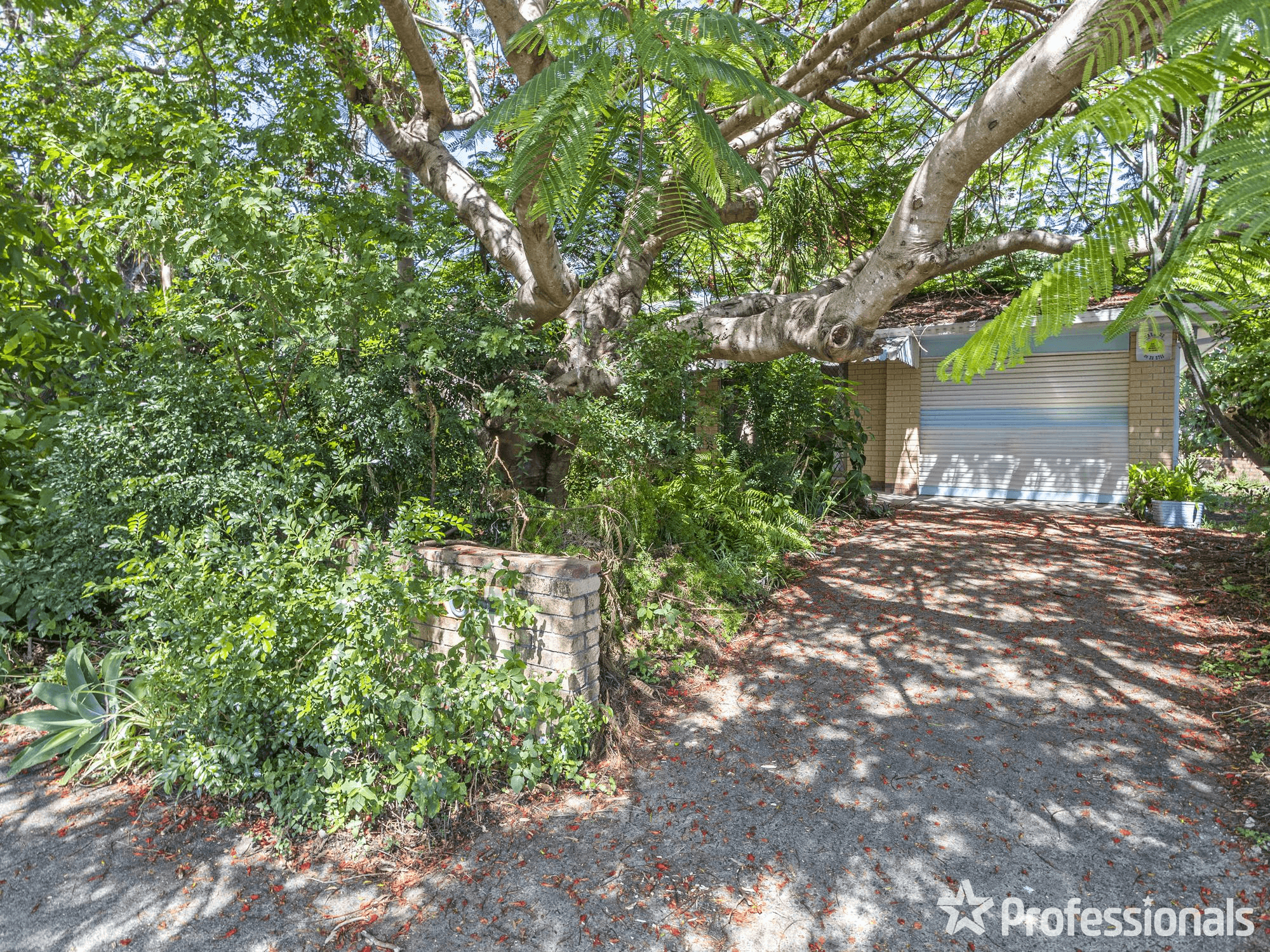 53 Acanthus Avenue, BURLEIGH HEADS, QLD 4220