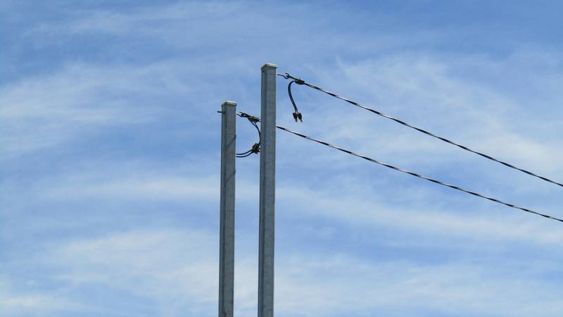 17 Harris St, Trangie, NSW 2823